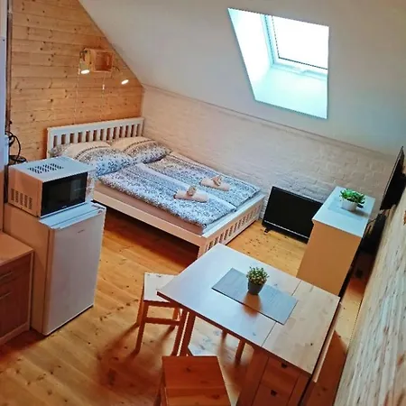 Pod Volarskym Rondelem Apartment *
